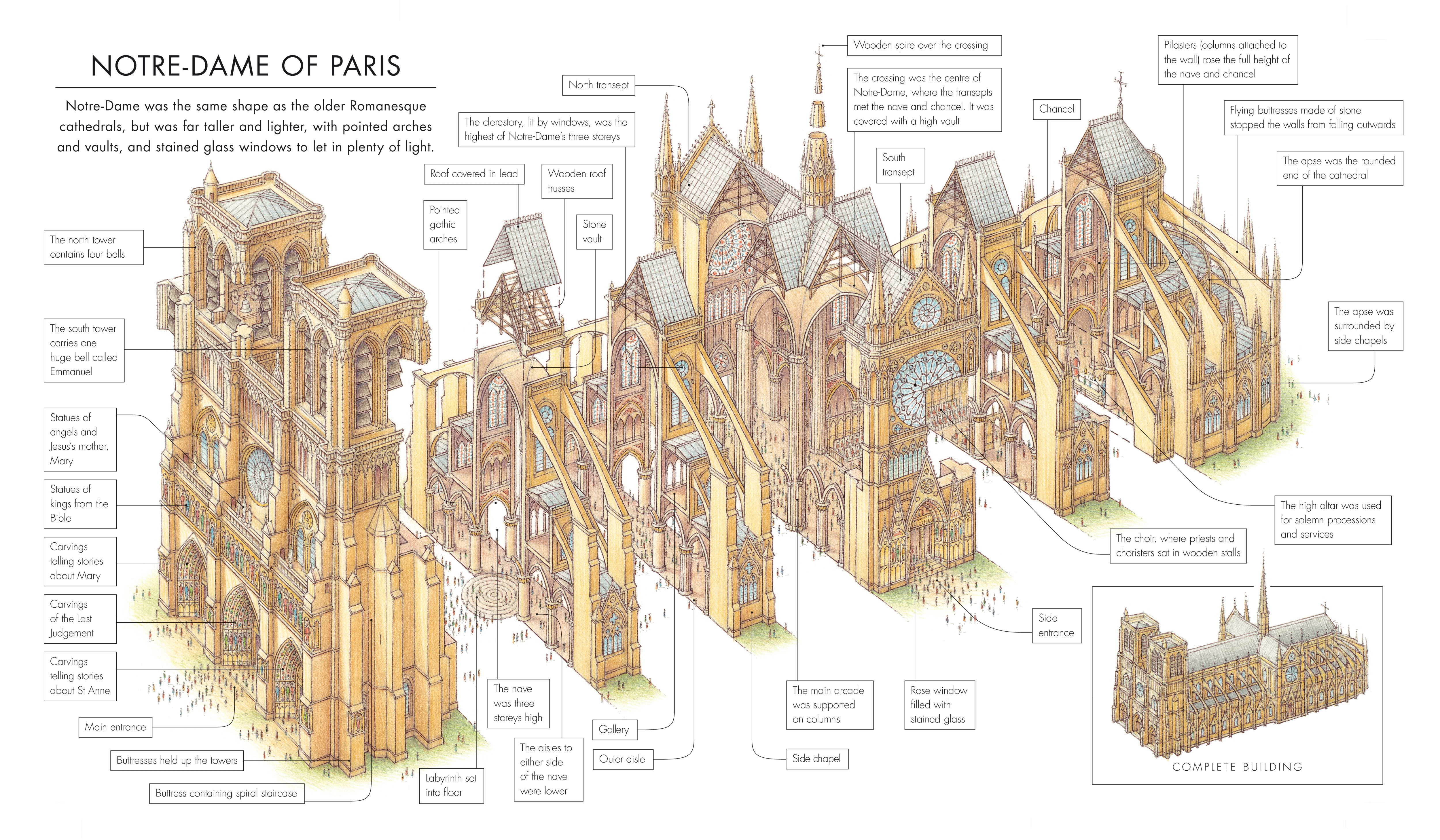 Notre Dame de paris blue print Plans (drawings), section