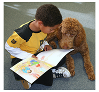Dog and Child Reading a Picture Book
