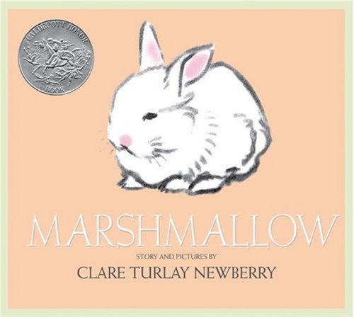 Kids Books with Rabbits Marshmallow