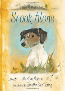 Book: Snook Alone