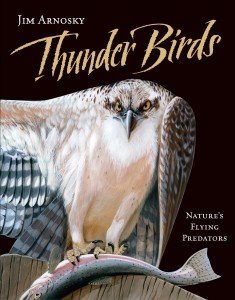 Book: Thunder Birds