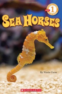 Non-Fiction Kids Book: Sea Horses