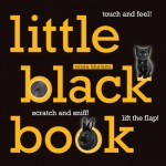 Picture Book: Little Black Cat