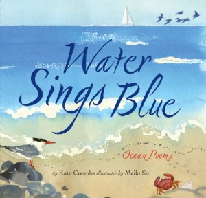 Water Sings Blue Picture Book