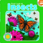Non-Fiction Book ABout Insects