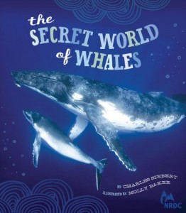 The Secret World of Whales Book