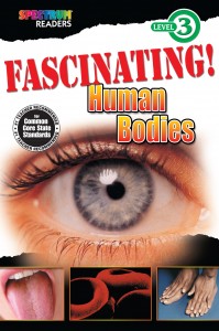 Fascinating! Human Bodies - 704337