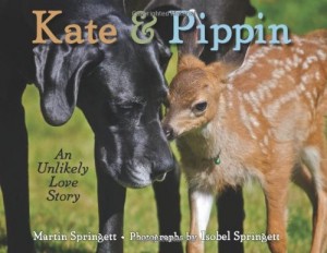 Kate and Pippin Story