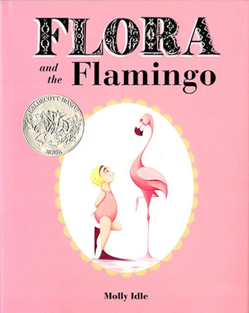 flora and the flamingo: book cover