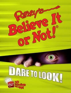 Dare To Look Book Cover