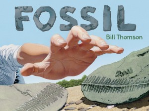 Fossil cover