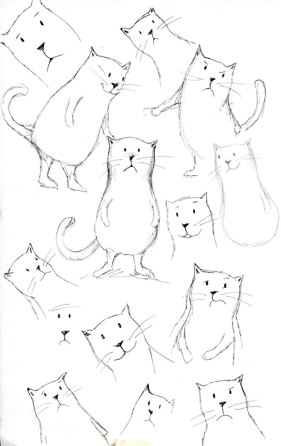 Here Comes the Easter Cat, Preliminary sketches by Claudia Rueda copyright ©, 2014