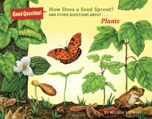 How Does a Seed Sprout by Melissa Stewart