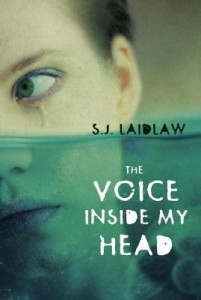 The Voice Inside My Head, by Laidlaw