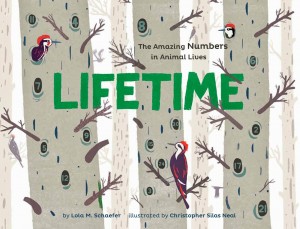 Lifetime: The Amazing Numbers in Animal Lives By Lola M. Schaefer