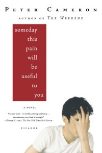 Someday This Pain Will Be Useful to You- A Novel By Peter Cameron