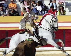 Ulme_book_b&w (9)b_img_36 | The Children's Book Review riding on the back of a horse