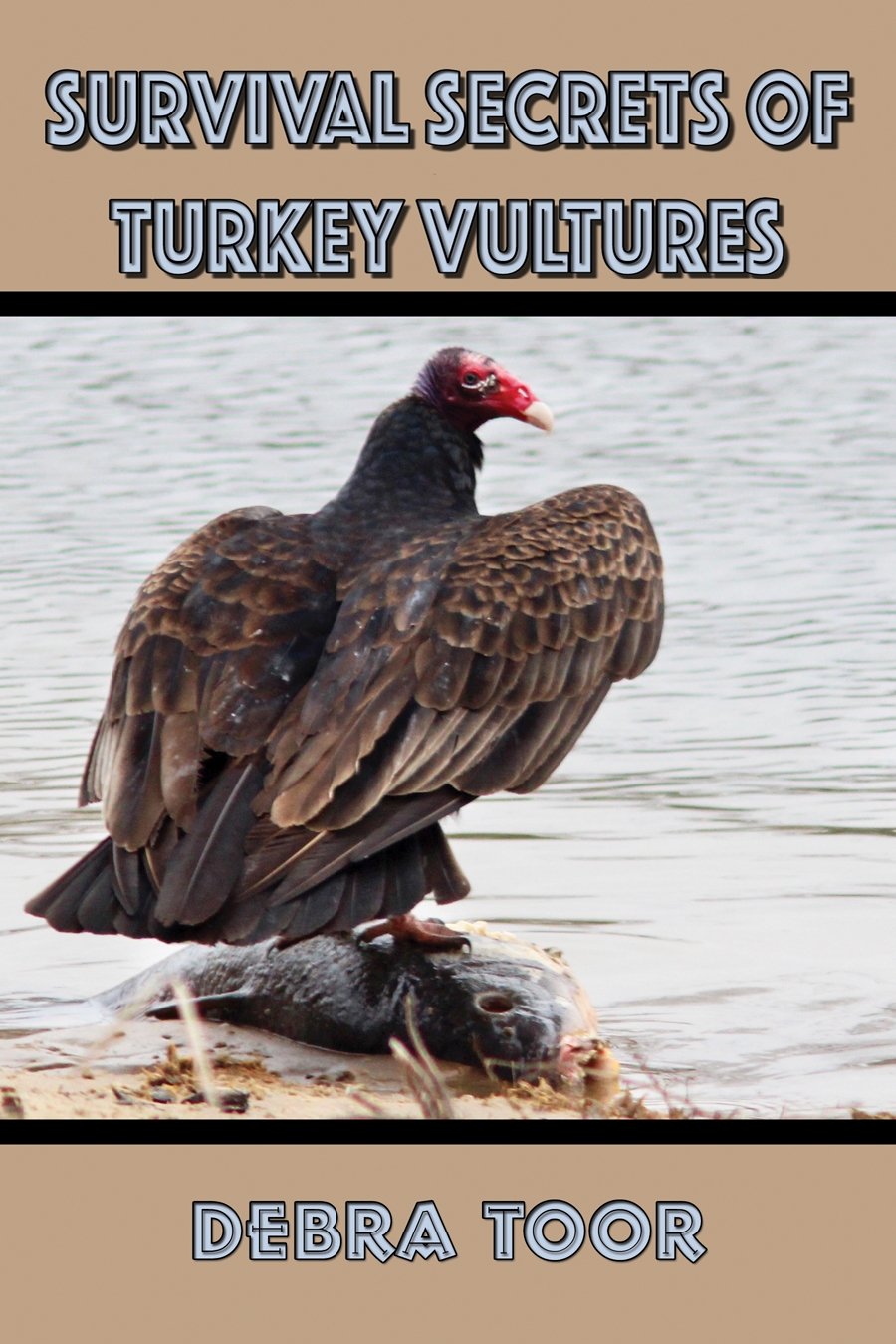 Guest Post: The Vultures Are Coming