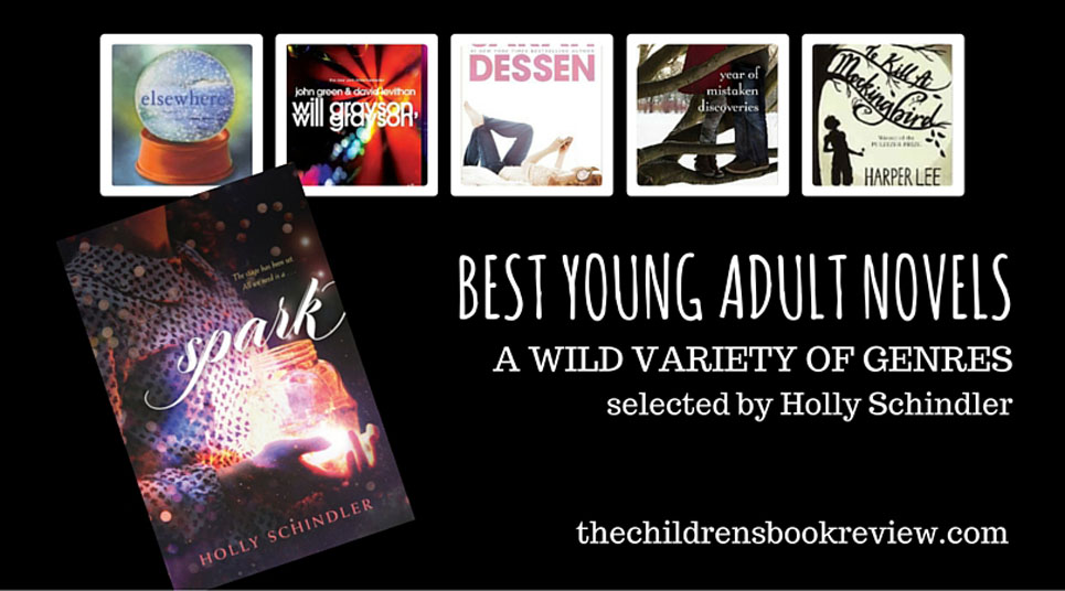 Best Young Adult Books with Holly Schindler Author of Spark