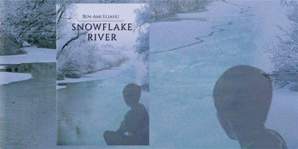 Snowflake River Book Cover