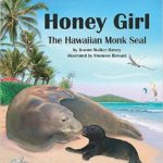 Honey Girl The Hawaiian Monk Seal