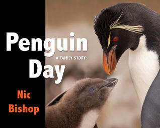 Penguin Day by Nic Bishop