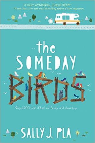 the-someday-birds-by-sally-j-pla