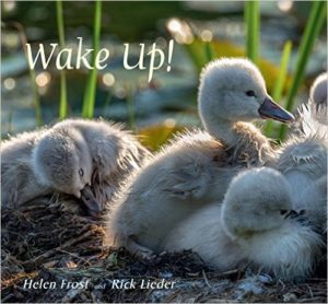 Wake Up! by Rick Lieder