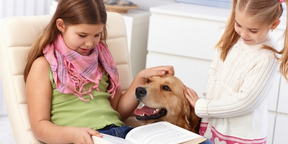 The Amazing Dogs Helping Children to Read (1)