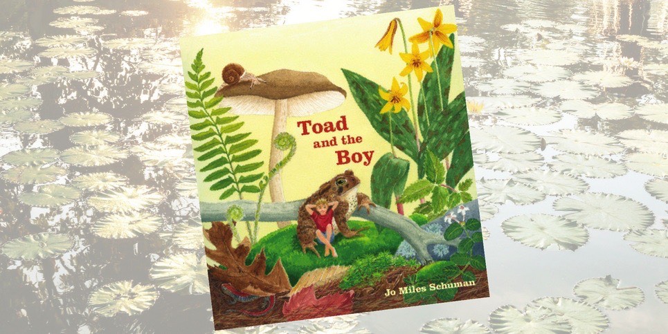 Book: Toad and the Boy