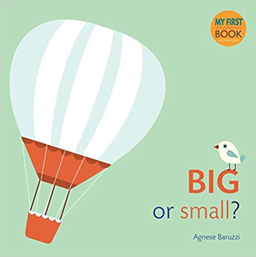 Big or Small? (My First Book)