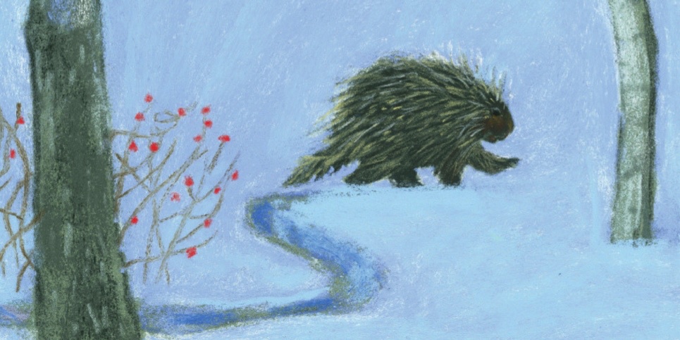 A Porcupines Promenade by Lyn Smith Book Review
