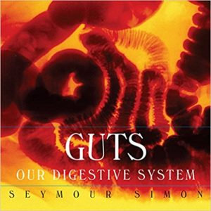 Guts- Our Digestive System