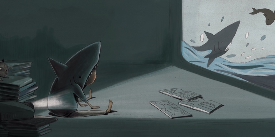 Kids Books About Sharks Young Marine Biologists SHawn Loves Sharks
