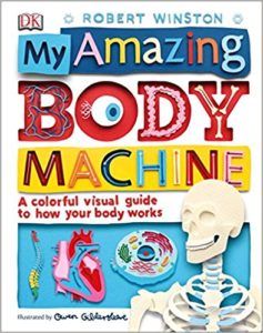 My Amazing Body Machine- A Colorful Visual Guide to How Your Body Works