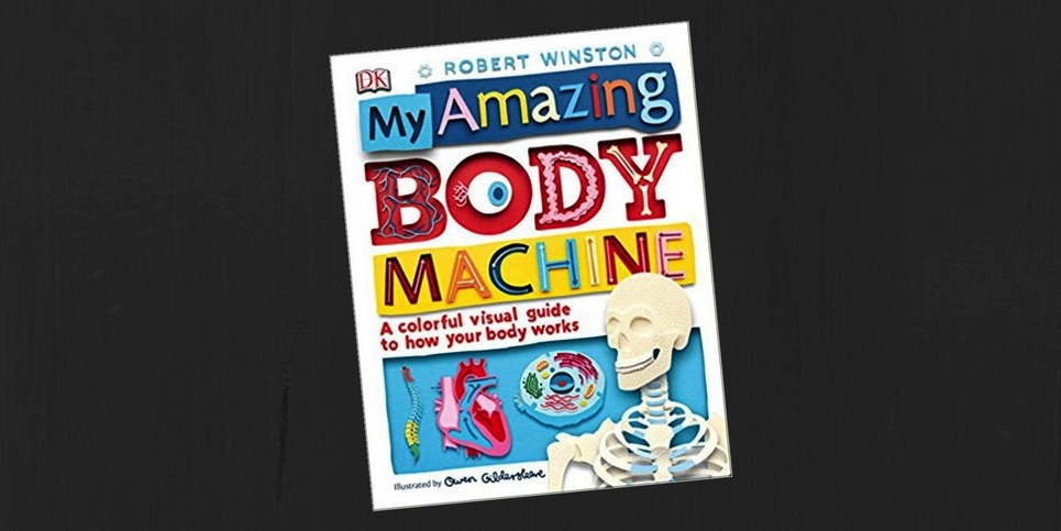 My Amazing Body Machine A Colorful Visual Guide to How Your Body Works Book Review