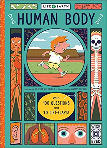 Life on Earth- Human Body