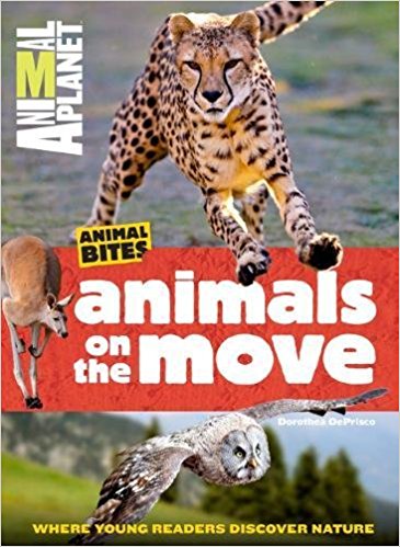 Animal Bites Animals on the Move
