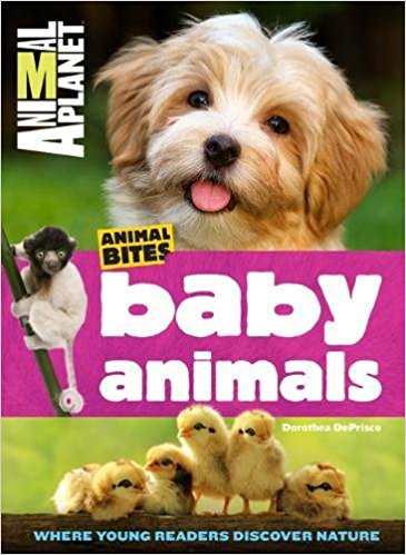 Animal Bites- Baby Animals