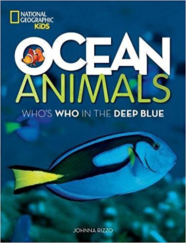 Ocean Animals- Who’s Who in the Deep Blue