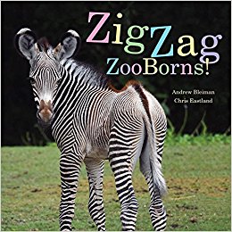 ZigZag ZooBorns!- Zoo Baby Colors and Patterns