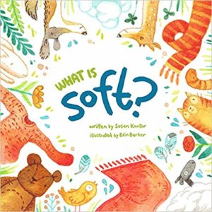 What is Soft by Susan Kantor