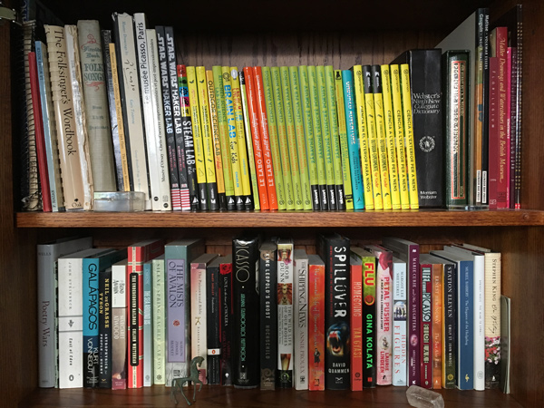 Liz-Bookshelf