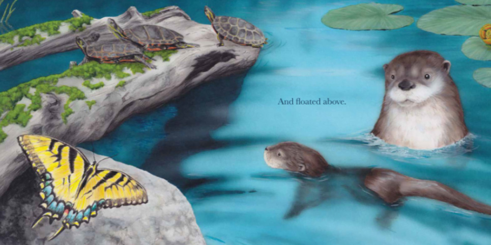 Little-Otter-Learns-to-Swim-by-Artie-Knapp-Book-Review