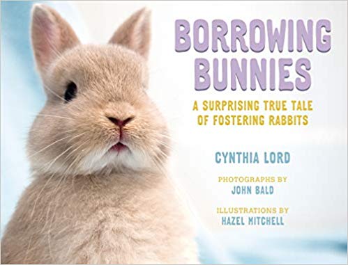 Borrowing Bunnies- A Surprising True Tale of Fostering Rabbits