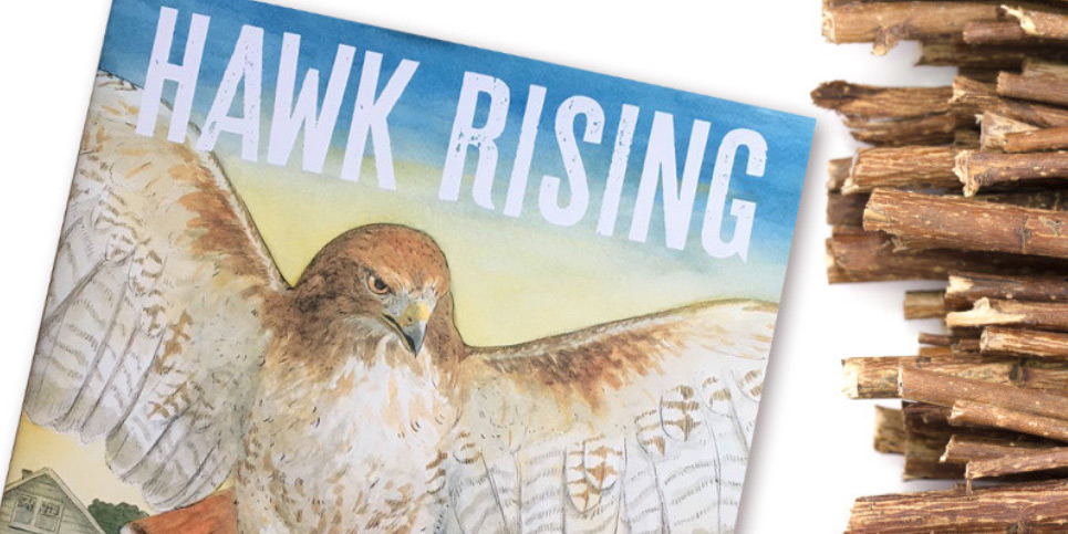 Hawk-Rising-by-Maria-Gianferrari-Book-Review