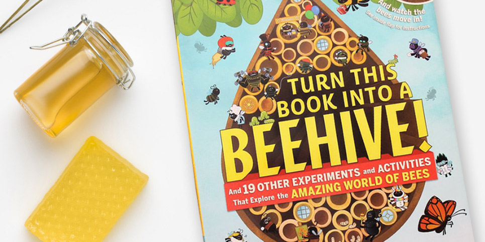 Turn-This-Book-into-a-Beehive-Book-Review