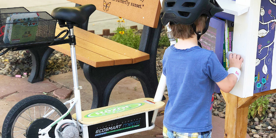 Book Little Free Library