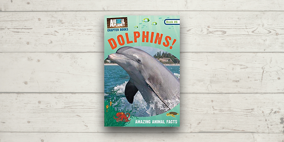 Book Dolphins