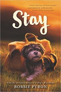 Book Stay, A close up of a dog